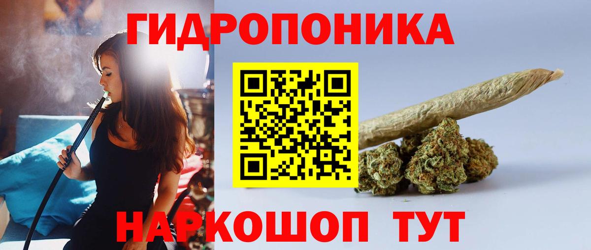 Вичуга  Бошки Шишки марихуана  Каннабис сатива  Бошки Шишки Amnesia  Вход с VPN 